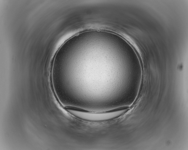 X0000093471437200710261033