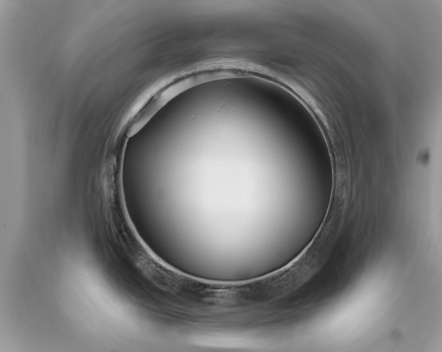 X0000093471438200710261033