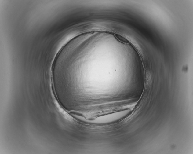 X0000093471439200710261033