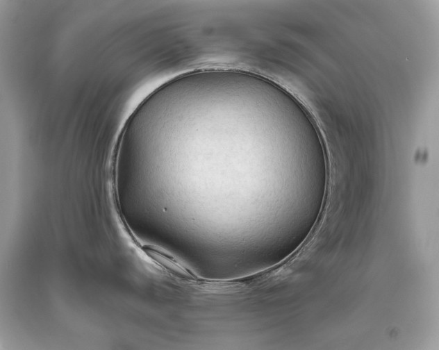 X0000093471440200710261033