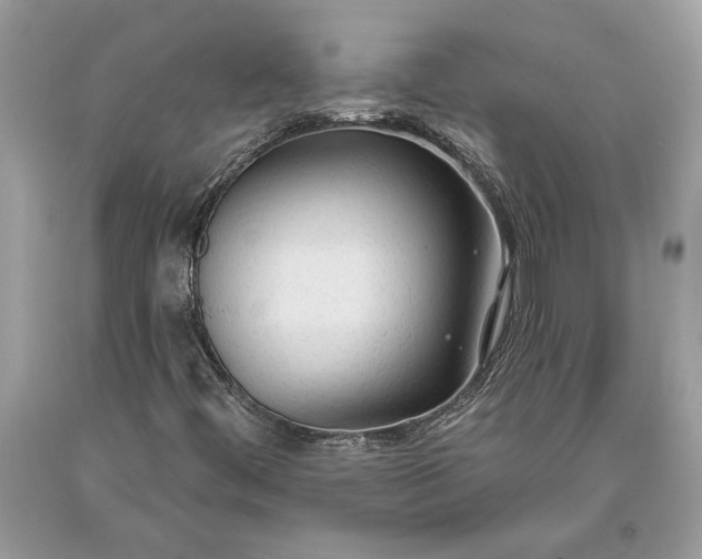 X0000093471444200710261032