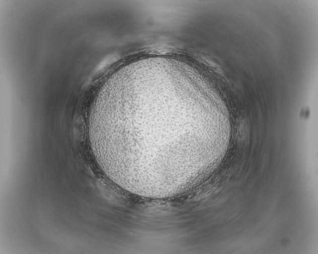 X0000093471446200710261032