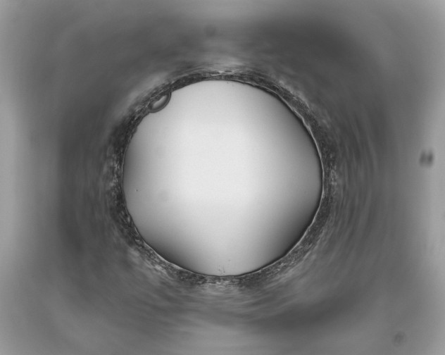 X0000093471447200710261032