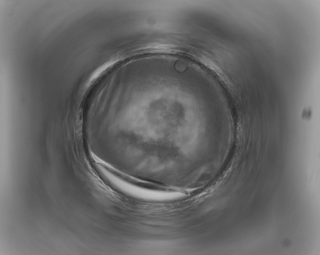 X0000093471450200710261032