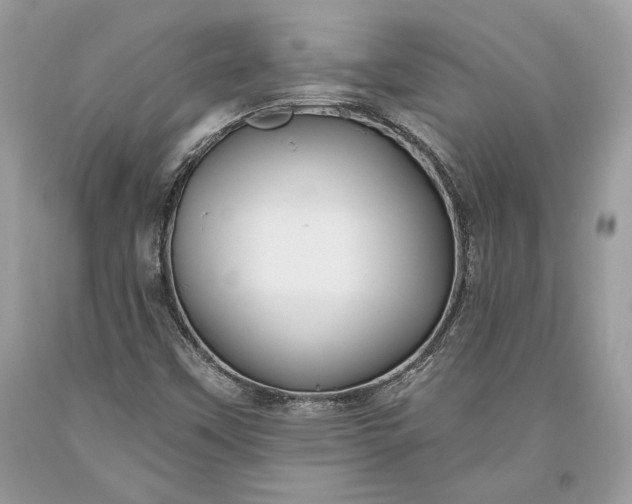 X0000093471451200710261032