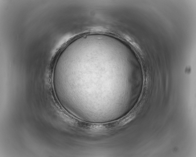 X0000093471454200710261032