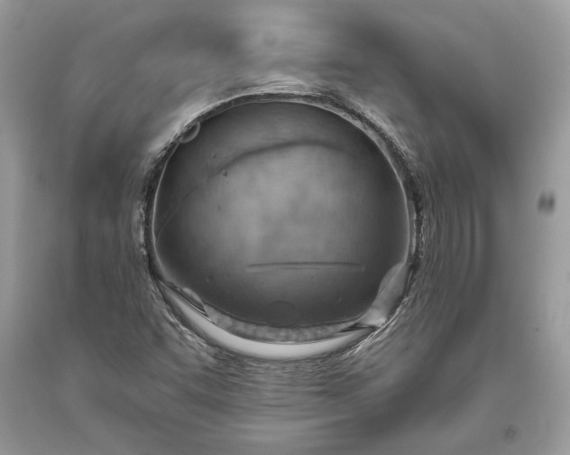 X0000093471455200710261032