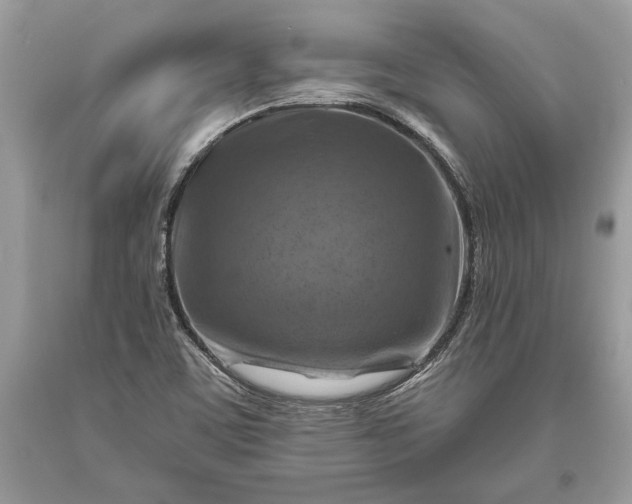 X0000093471459200710261032