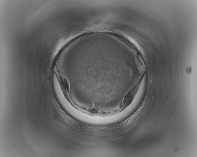 X0000093471461200710261032