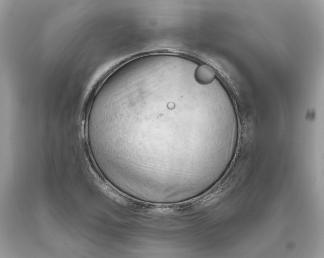 X0000093471462200710261032