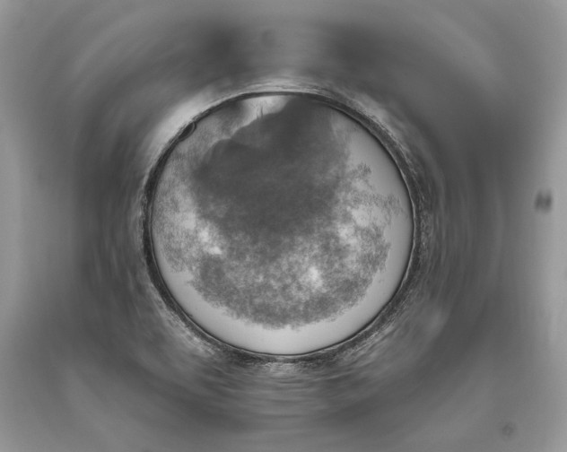 X0000093471463200710261032