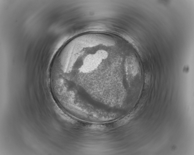 X0000093471466200710261032