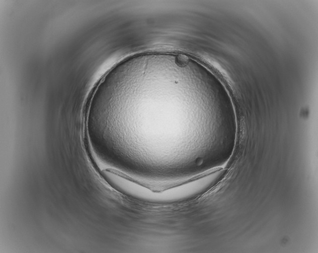 X0000093471467200710261032