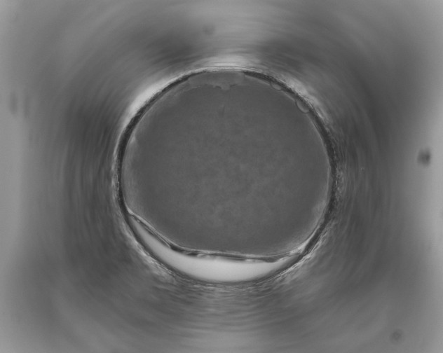 X0000093471469200710261032