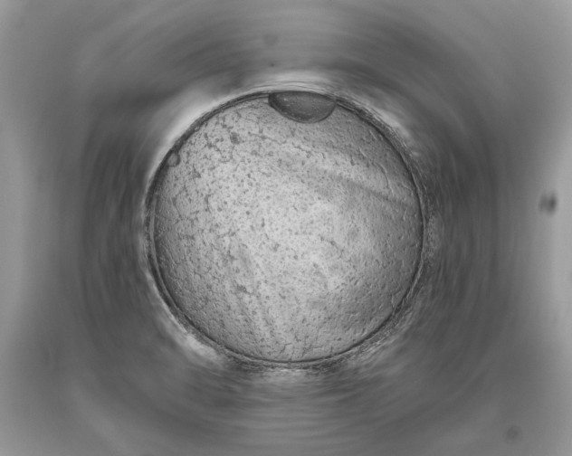 X0000093471470200710261032