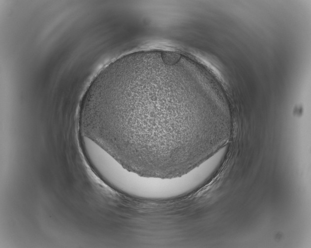 X0000093471471200710261032