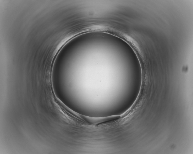 X0000093471473200710261032