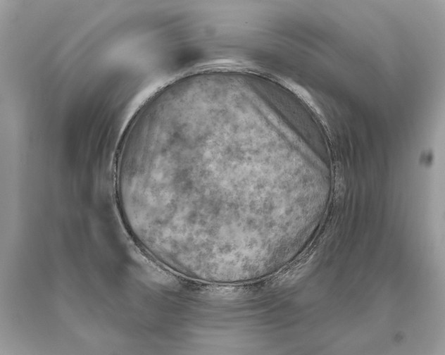 X0000093471474200710261032