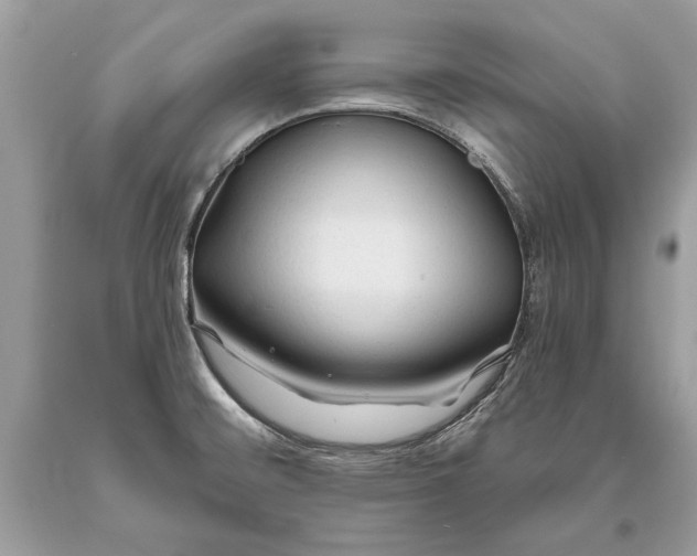 X0000093471476200710261032