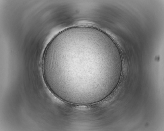 X0000093471478200710261032