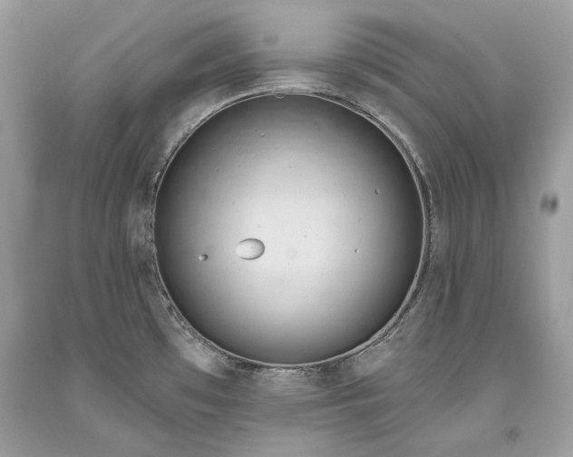 X0000093471481200710261032