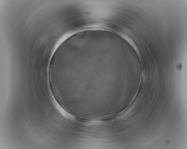 X0000093471482200710261032