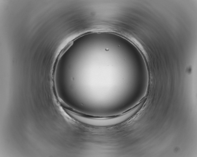 X0000093471485200710261032