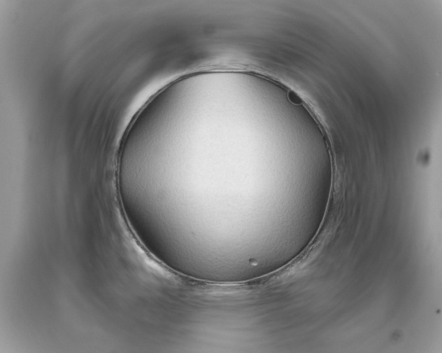 X0000093471486200710261032