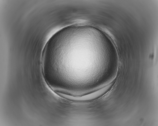 X0000093471487200710261032