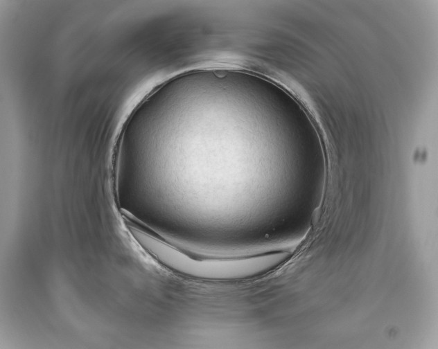 X0000093471488200710261032