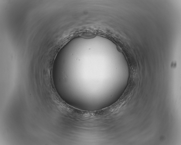 X0000093471489200710261031