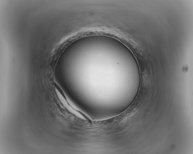 X0000093471494200710261031