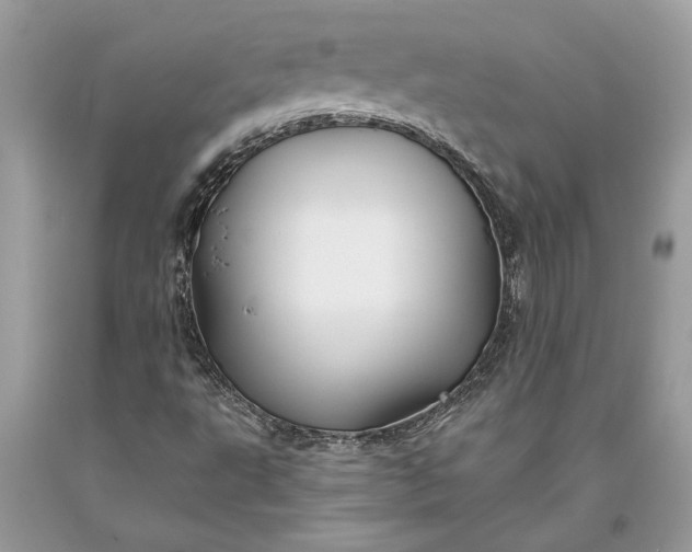 X0000093471495200710261031