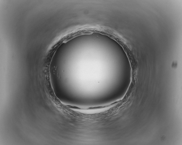 X0000093471496200710261031