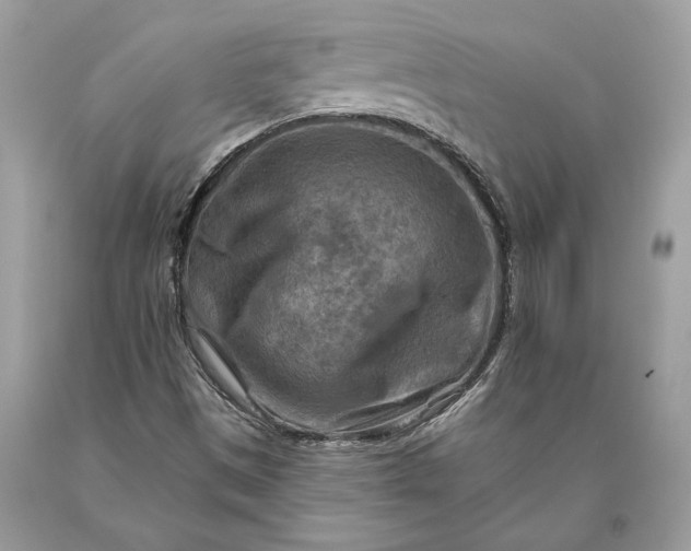 X0000093471497200710261031