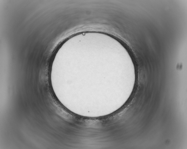 X0000093471498200710261031