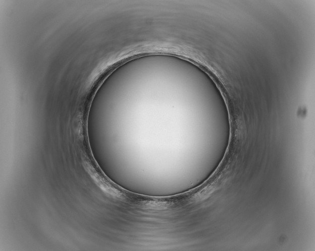 X0000093471499200710261031