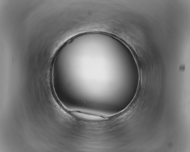 X0000093471500200710261031