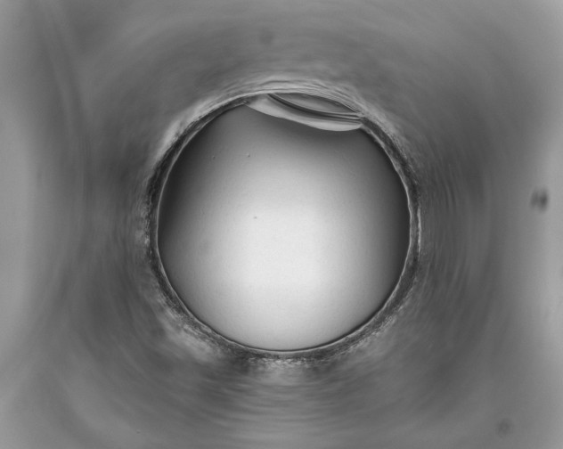 X0000093471501200710261031