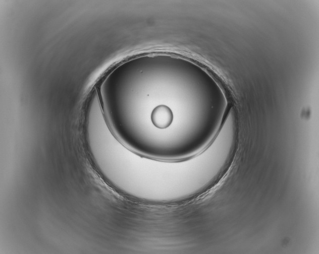 X0000093471502200710261031