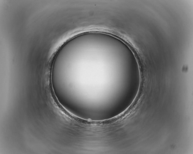 X0000093471504200710261031