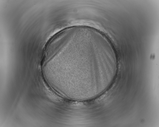 X0000093471505200710261031