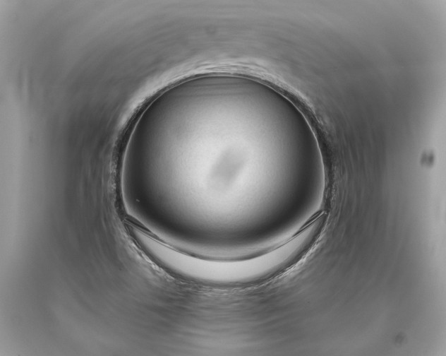 X0000093471506200710261031