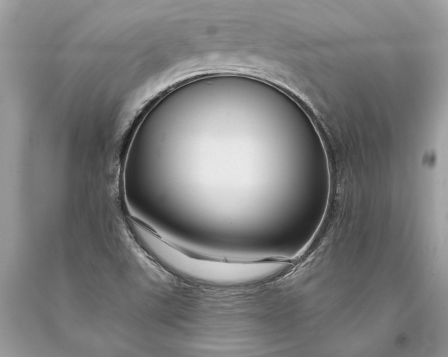 X0000093471507200710261031