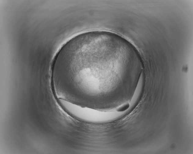 X0000093471508200710261031