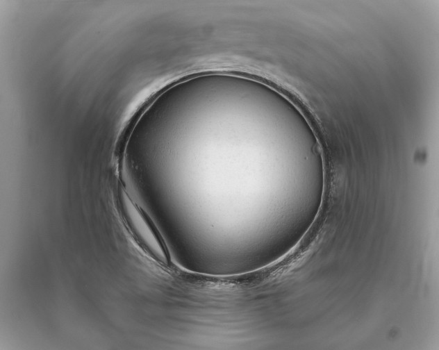 X0000093471509200710261031