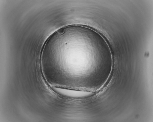 X0000093471513200710261031