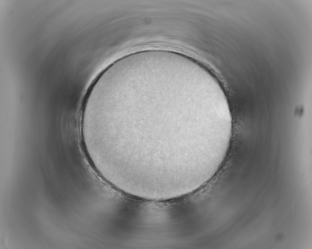 X0000093471514200710261031