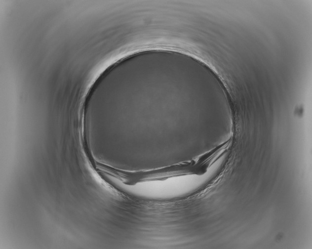 X0000093471515200710261031