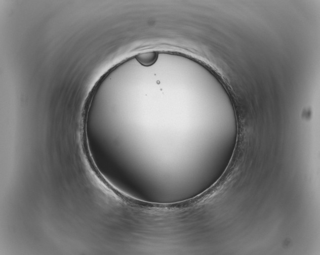 X0000093471518200710261031